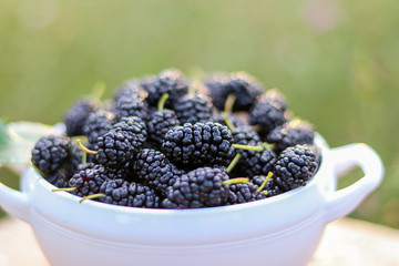 Fresh harvested juicy mulberries in white bowl close-up outdoors with soft green background. GMO...