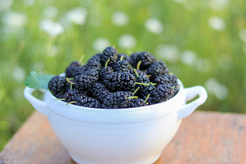 Fresh harvested juicy mulberries in white bowl on wooden bench outdoors with blooming background....