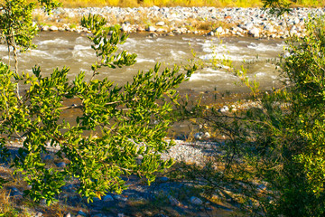 RIO CON MATORRALES FRONDOSO ROCAS ORILLA RIVERA VERDE ECOLOGICO