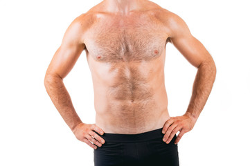 Muscular hairy male chest isolated on white background.
