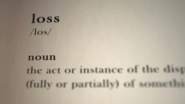 Loss Definition