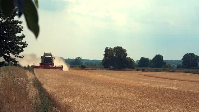 harvester on the wheat field
