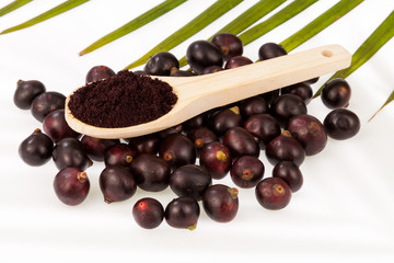 Fruit and acai powder - Euterpe oleracea