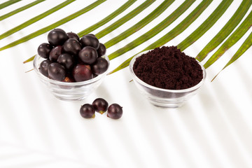 Fruit and acai powder - Euterpe oleracea