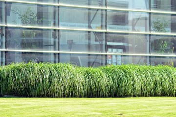 Urban abstract background, detail of modern glass facade, office business building