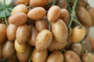 Chinese wampee fruits