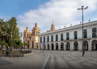 Fototapeta na wymiar Cordoba Cathedral and Cabildo - Cordoba, Argentina