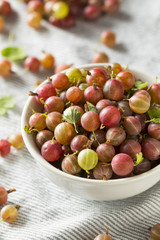 Raw Purple Organic Gooseberries