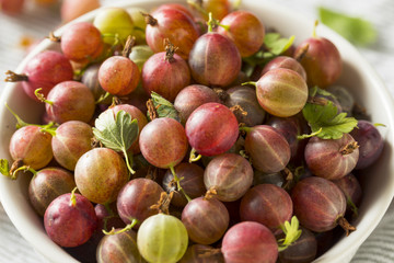 Raw Purple Organic Gooseberries