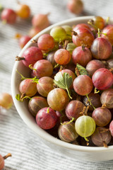Raw Purple Organic Gooseberries