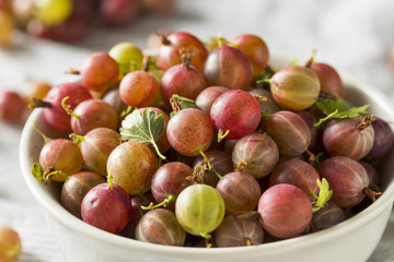 Raw Purple Organic Gooseberries