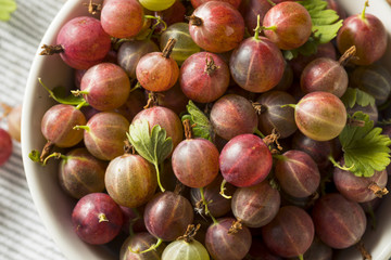 Raw Purple Organic Gooseberries