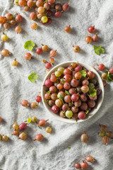 Raw Purple Organic Gooseberries