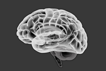 Fototapeta na wymiar Brain scan illustration isolated on dark gray BG