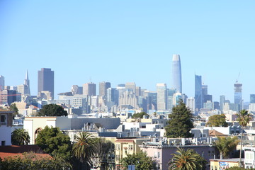 Obraz premium View of San Francisco’s Skyline from Mission Dolores Park