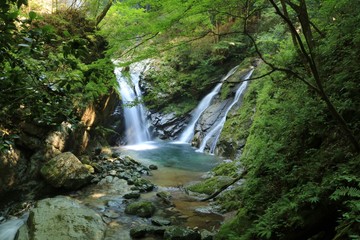 高千穂の竜ヶ岩の滝(Tatugaoka no taki)