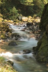 Obraz premium 清流が流れる高千穂峡の風景