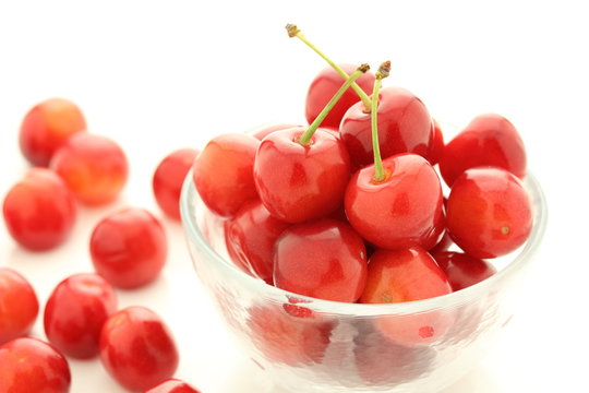 さくらんぼ　佐藤錦