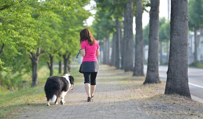 Naklejka na ściany i meble 愛犬と散歩する女性