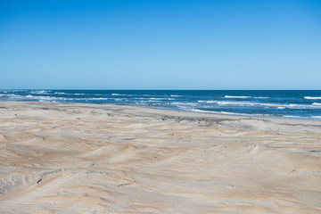 Fototapeta na wymiar sand water and beach life