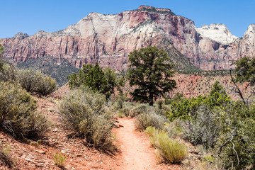 Zion National Park