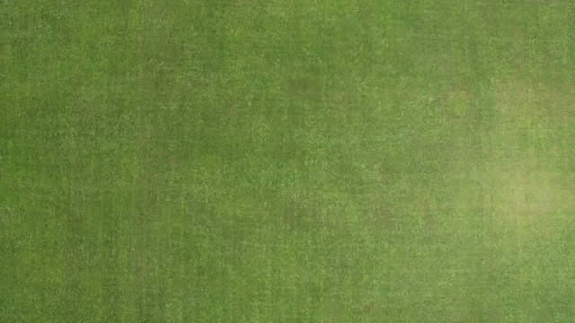 Green grass football field from the top. View from quadrocopter. Texture