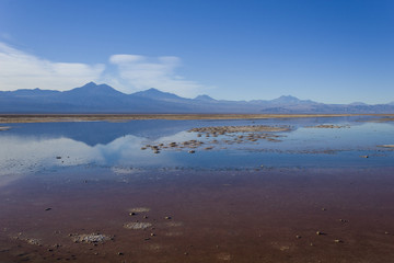 Obraz premium Untitled