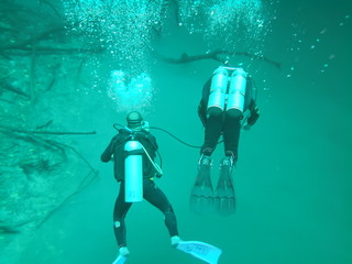 Fototapeta premium dobles