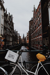 Fototapeta premium An Amsterdam canal