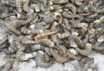 Fresh raw shrimp frozen on the ice