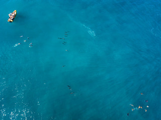 Fototapeta na wymiar Aerial view of tourists swimming with dolphins 
