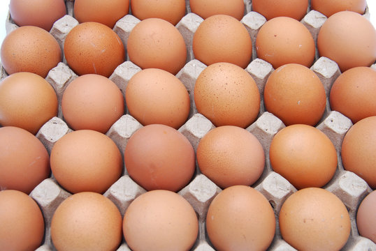 close up on brown eggs in egg box 