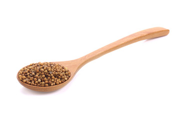Coriander seeds in wooden spoon isolated on white background.