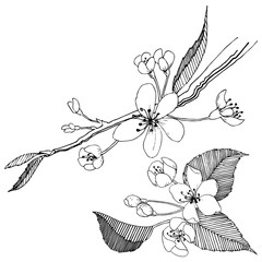 Apple tree in a vector style isolated. Full name of the plant: apple tree. Vector flower for background, texture, wrapper pattern, frame or border.