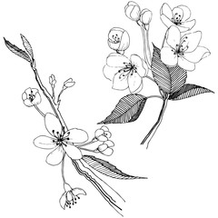 Apple tree in a vector style isolated. Full name of the plant: apple tree. Vector flower for background, texture, wrapper pattern, frame or border.