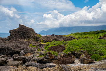 Fototapeta na wymiar Tropical Vegetation and Rocks in Taitung, Taiwan (Sanxiantai)