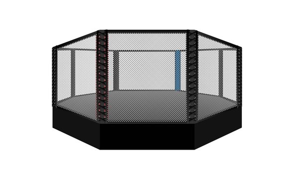 Boxing ring arena vector design. MMA octagon ring. Vector illumination
