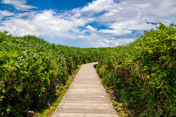 Naklejka na ściany i meble Hiking path on a tropical island in Sanxiantai, Taidong, Taiwan