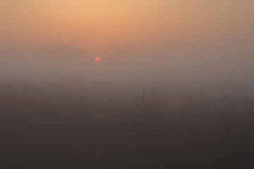 霧中の日の出