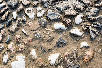 Texture of river stones