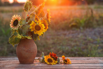 sunflowers in jug on wooden table at sunset