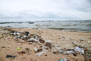Fototapeta na wymiar paper box foam plastic and waste pollution on beach