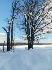 Obraz premium Vast countryside expanse, covered by abundant snow blanket under cloudy blue sky.