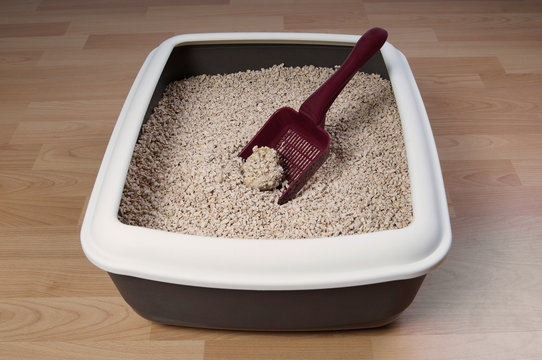 Cat Litter Box