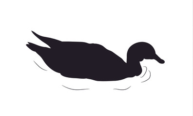 duck silhouette. vector
