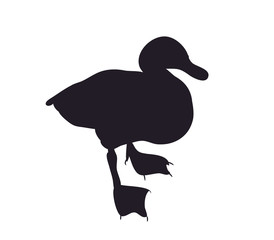 duck silhouette. vector