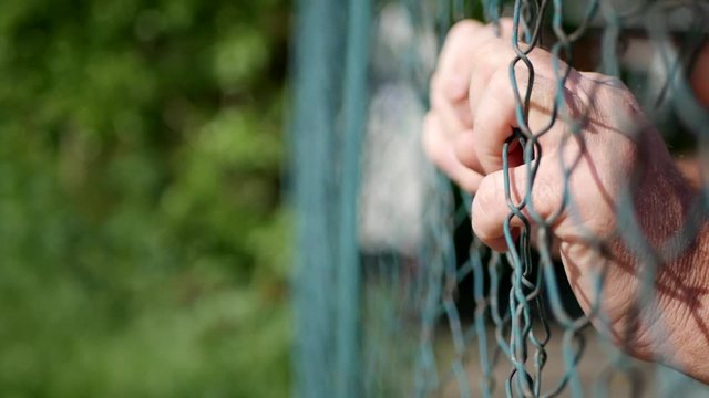Desperate Man Hands Hanging In a Metallic Fence