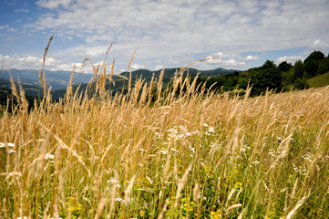landscape on mountains