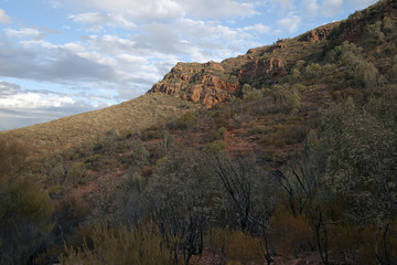 Wilpena Pound South Australia, view of the australian bush and escarpment 