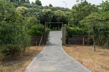 The rural landscape of the agricultural garden